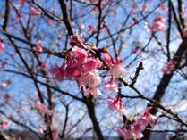 k@F̋G@̂͂Ȃ̎{ݎʐ^3