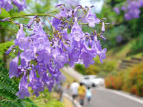 �k���@���F���̋G�@�����̂͂Ȃ̎{�ݎʐ^3