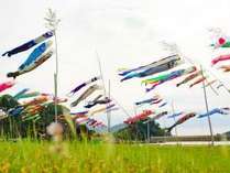 稲佐山つつじまつり周辺宿からの現地情報 じゃらんnet