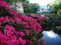 �z�e����T�ق̊O�ώʐ^