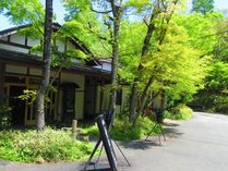 �k�J�̏h�@��C�̋S�@�̎ʐ^