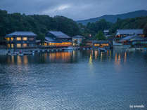 �w��̊O�ώʐ^