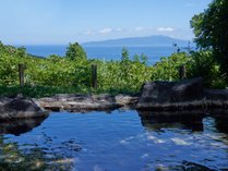 SXC[gI[Vr[̃ze@B[Wɓ̎{ݎʐ^1