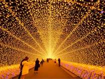 �K���O���[���z�e���̎{�ݎʐ^1