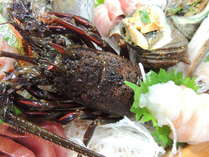 天然温泉人魚の湯旅館海紅豆の施設写真2