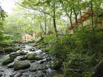 「蔵王の森」がつくる美と健康の温泉宿　ゆと森倶楽部の施設写真2