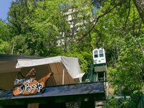 �l�C�̘I�V���C�t���q���Ɣ����ɘa�ޏh�@���̂���̊O�ώʐ^