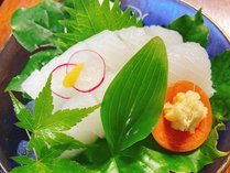 OEԖ̉Bh 猹̎{ݎʐ^3