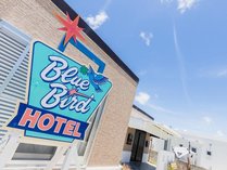 Blue Bird�̊O�ώʐ^