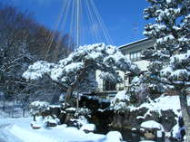 �䂤�������򗷊ق̊O�ώʐ^