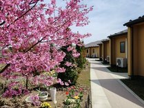 �Ԃ̏h�@���x�m�̎{�ݎʐ^2