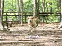 �����p���_�C�X �����x�̎{�ݎʐ^3