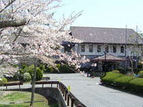 �V����Α��̎{�ݎʐ^2