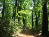 �A�I�[�l���_�\��΂̎{�ݎʐ^2