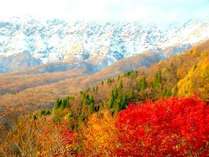 大山の四季の詩　ペンション　アリスの丘の外観写真