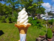 �s�`�a�h�|�x�`�c�n������̎{�ݎʐ^2