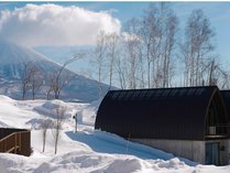 ANDARU COLLECTION NISEKO̊Oώʐ^