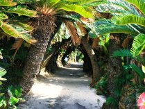 �Q�X�g�n�E�X�݂ȂƉ��̎{�ݎʐ^2