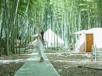 THE BAMBOO FOREST̊Oώʐ^