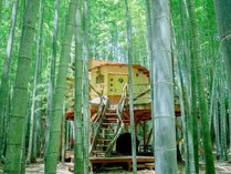 THE BAMBOO FOREST̎{ݎʐ^2