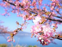 ���˓����]�[�g�x�b�Z���������̎{�ݎʐ^2