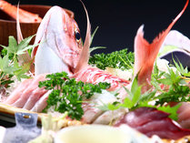 西伊豆地魚を豪快に味わう　くつろぎの旅乃宿　ふかいの施設写真2