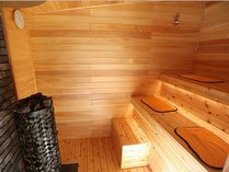 u ݕʑ IDEAL SAUNA̎{ݎʐ^2