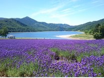 �t�F�A�t�B�[���h�E�o�C�E�}���I�b�g�E�k�C����x�ǖ�̎{�ݎʐ^2