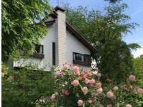 �J�T�E�f�E�|�R�̊O�ώʐ^