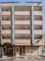 �O�����f�G�X�V�_�̊O�ώʐ^