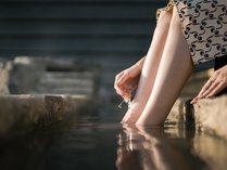 _CeX@̏h@̗̎{ݎʐ^3