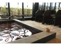 HOTEL BAYGULLS�@�z�e���x�C�K���Y�̎{�ݎʐ^3