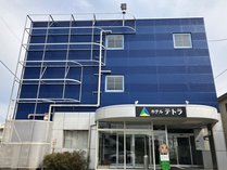 �z�e���e�g���{���˂̊O�ώʐ^