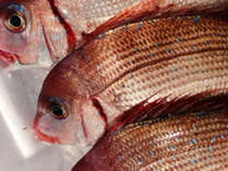 �O������@���t�̏h�@���J�̎{�ݎʐ^3