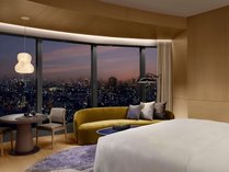 �i�v�}���I�b�g�E�z�e�������̎{�ݎʐ^3