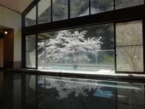 中川温泉　かくれ湯の里　信玄館の外観写真