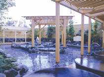 羽生天然温泉 ルートイングランティア羽生SPA RESORTの施設写真1