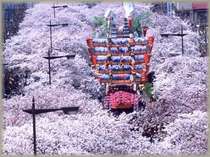 �Ђ������C�̏h�@�͂����̊O�ώʐ^