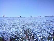 �Ђ������C�̏h�@�͂����̊O�ώʐ^