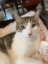 �Q�X�g�n�E�X�`���b�̎{�ݎʐ^3