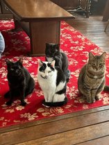 �Q�X�g�n�E�X�`���b�̎{�ݎʐ^2