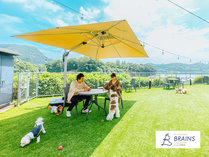 �y�b�g���]�[�g�u���C���Y����i2023�N10��OPEN�j�̎{�ݎʐ^3