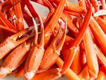 �R������ �͎����i2025�N8��1�����j���[�A���I�[�v���j�̎{�ݎʐ^2