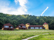 �G���[���O�������B�����فi���q���Y�e���X���فj�̊O�ώʐ^