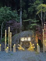 ���̉؂̊O�ώʐ^