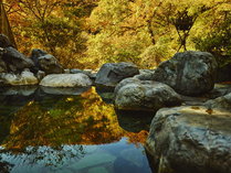 Ɣ܂Öƃg[g ԏR -  -̎{ݎʐ^3