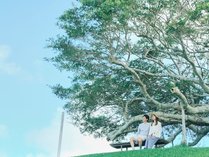 EM�E�F���l�X��炵�̔��y���C�t�X�^�C�����]�[�g�̎{�ݎʐ^1