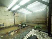 氷見天然温泉 ルートイングランティア氷見 和蔵の宿の施設写真2