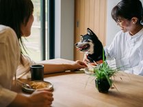 �R���F��@�R�̏�̂��Ȃ������̕ʑ��̎{�ݎʐ^3