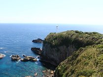  f  @HȂ Cy ό ṽC[W摜